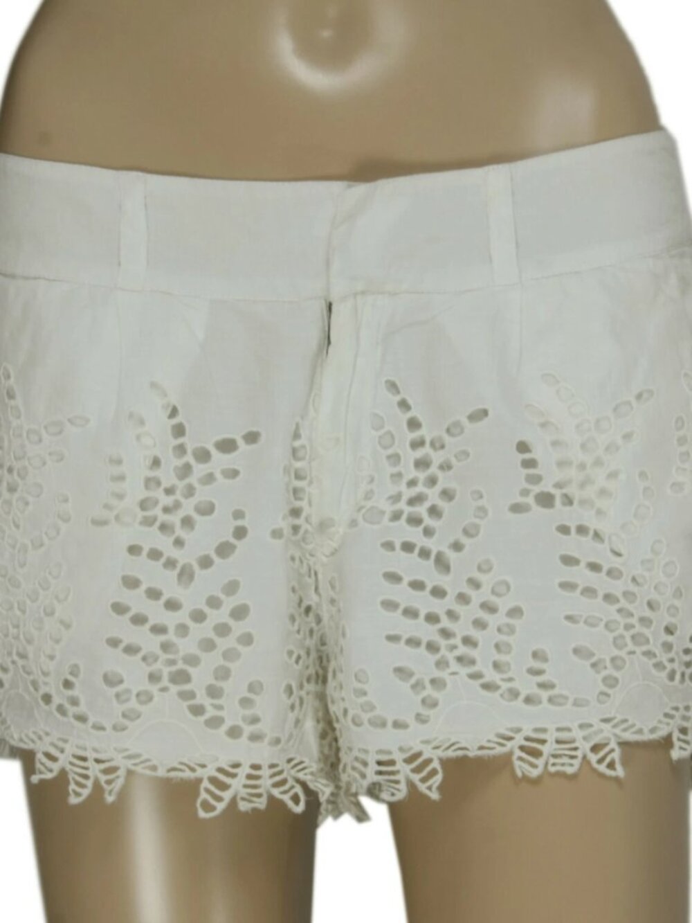 Anthropologie Eyelet Embroidered Banded Waist White Shorts M